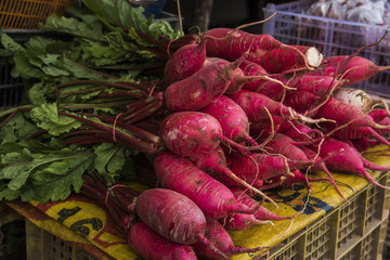 Red fresh Korean potato