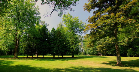 Piękny zielony park zdrojowy w Kudowie Zdrój - idealne miejsce na odpoczynek i chwilę wytchnienia