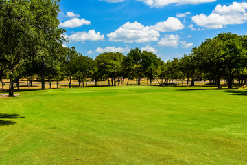 Golf Course Green 