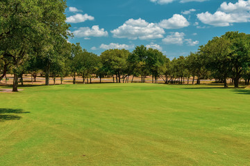Golf Course Green 