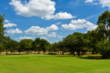 Golf Course Green 