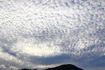 Obraz premium うろこ雲