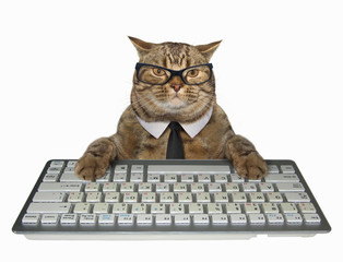 The smart cat in a tie presses the keys of a computer keyboard. White background. - 218453068