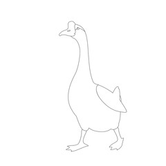 goose  vector illustration    coloring book  profile side