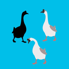 goose  vector illustration    flat style silhouette  profile 