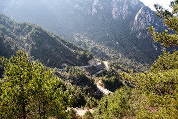 Naklejka premium Trees and Winding Path in the Mountain Area