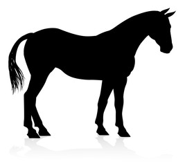 Horse Animal Silhouette