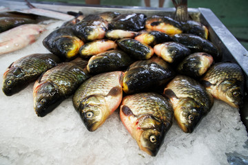 Trade in the market. Fresh crucian in the ice on the fish counter. Food.