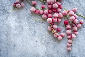 Frozen Red Currants (Berries, Fruit) for the Winter & Christmas