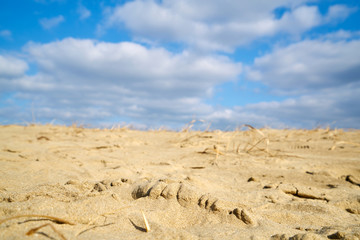 Plakat Sindu-ri Coastal dune in korea.