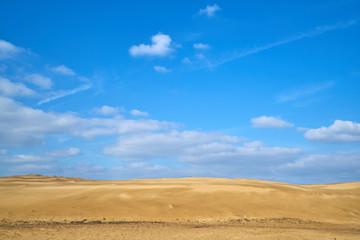 Fototapeta na wymiar Sindu-ri Coastal dune in korea.