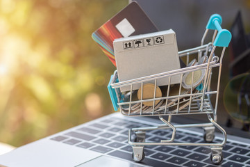 Cardboard box, credit card and Thai coins in trolley on laptop keyboard with nature background. Consumers can buy products directly from seller over internet. Online shopping and e-commerce concept.