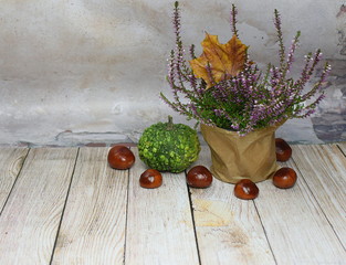 autumn decoration with heather, chestnuts, pumpkin and leaf