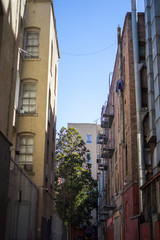 Fototapeta na wymiar Chinese Town in San Francisco