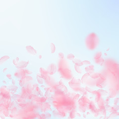 Obraz na płótnie Canvas Sakura petals falling down. Romantic pink flowers gradient. Flying petals on blue sky square backgro