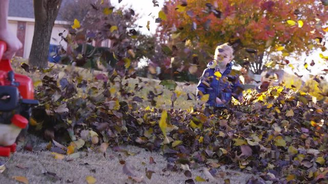 Leaf blower pushes leaves into a pile surrounding an excited toddler