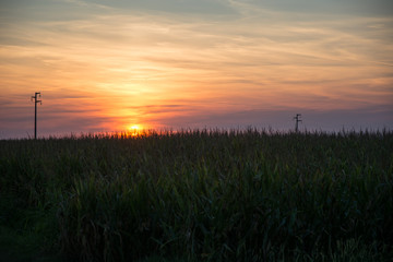 Fototapeta premium Landscape of a cultivated field at sunset