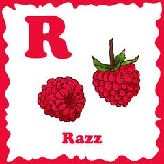 Vector fruit alphabet for education. Illustration for kids. Letter R for Razz