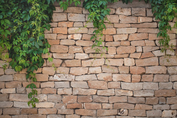 Brick wall. beautiful texture.
