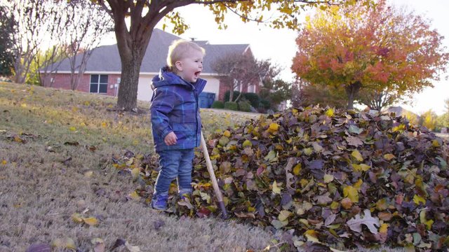 Toddler holds a rake and looks up excitedly as leaves fall