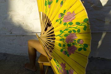 the woman hidden behind the fan