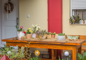 a multitude of pots of flowers on the table 