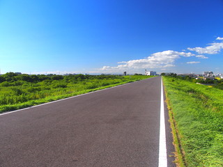 夏の江戸川土手のサイクリング道路