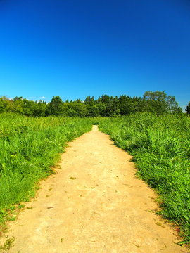 細道 未舗装 夏草 Images Browse 4 Stock Photos Vectors And Video Adobe Stock
