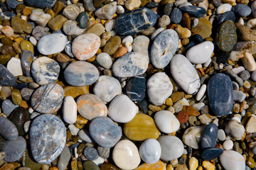 Beautiful wet multi-colored stones of the Mediterranean coast.