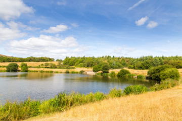 Fototapeta premium Landscape of Garn Lakes Local Nature Reserve in Blaenavon, Wales, UK