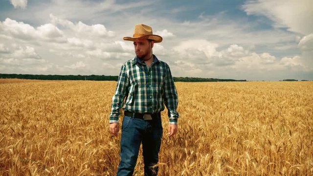 Disappointed farmer looking into the grain field, feeling sad, angry and worried about the wheat plantation - Crop failure, harvest failure - diminished crop yield. Low crop yield.