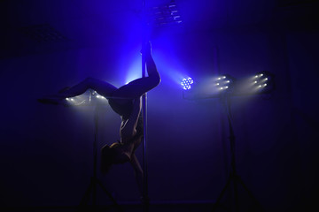 Young sexy woman exercise pole dance. Fitness