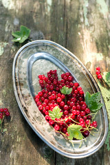 Fresh Red currant on vintage metal plate on rustic table. Eye bird view. Johannisbeere 