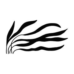 alga high isolated. marine plant silhouette.