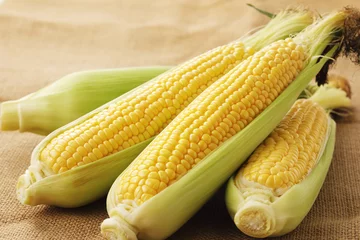 Fotobehang とうもろこし　Fresh yellow corn © Nishihama