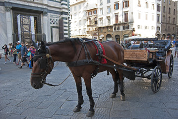 Naklejka na ściany i meble Horse coach in piazza San Giovanni in Florence, Italy