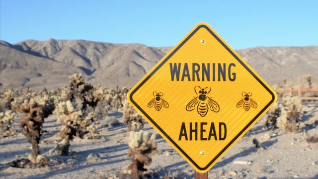 Moving shot focusing on a yellow sign warning ahead of Bees in the desert.