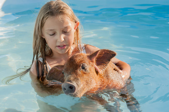 Young girl in bathing suit is swimming in clear, blue water of pool with red pig of Duroc breed. 2019 year of yellow pig. Concept of friendship between man and animals, respect for nature