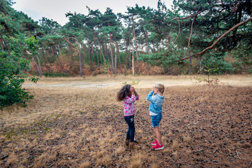 Two preschool girls do a game in the forest