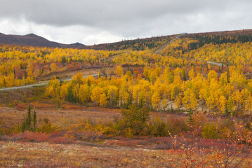 Fototapeta premium Northern roads