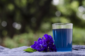 Butterfly pea or blue pea drink 