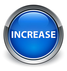 Increase optimum blue round button