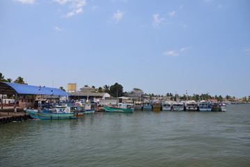 Fototapeta premium Sri Lanka fish market
