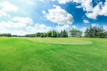 Keuken spatwand met foto Green grass field and forest scenery in summer © ABCDstock
