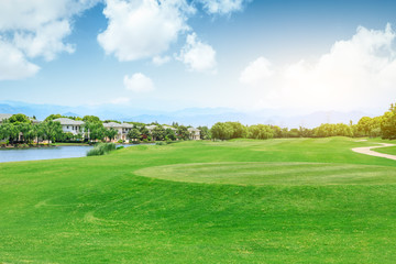 Green grass field and forest with apartment building scene in urban suburbs