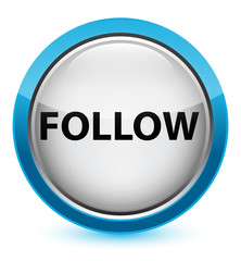 Follow crystal cyan blue round button