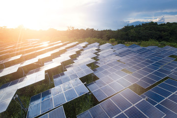 Beautiful sunset over Solar Farm,Green Energy Concept
