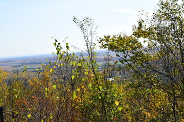 prairie