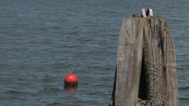 The red warning buoy is submerged in the water. Gentle waves on the water.  Panning,Closeup, 