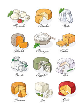 Collection of Cut sliced cheese assortment. Vector illustration.